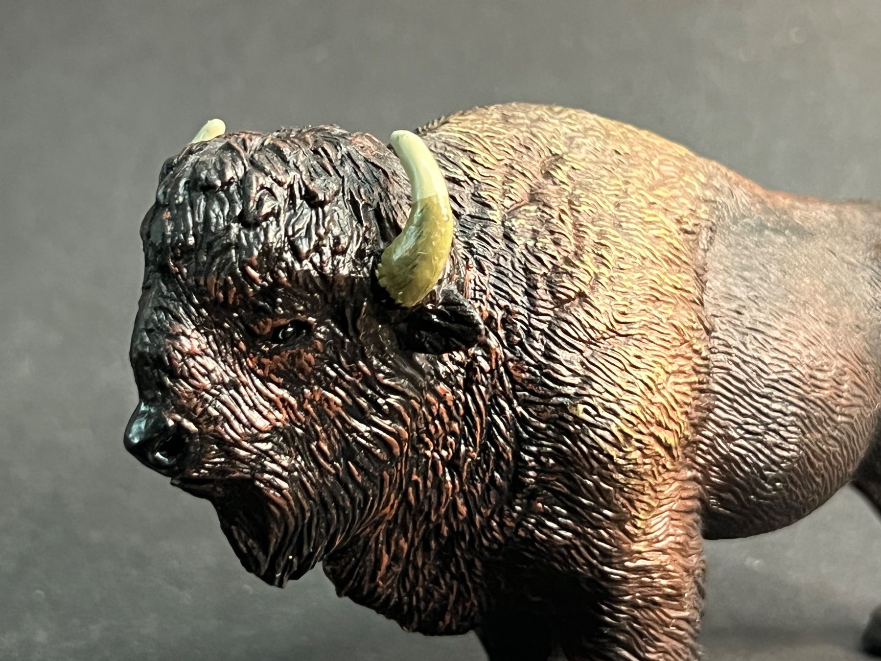Schleich Statuette: Papo Amerikanischer Bison ähnlich Schleich – Nuovo (secondo la descrizione) da Ennetbaden venduto da mapa05 1