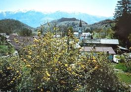 ARCEGNO