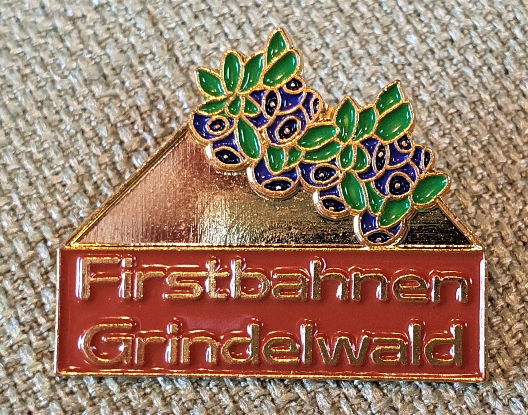 Placchette & Badge: B184  Pin Firstbahnen Grindelwald Blumen – Usato da Reinach BL venduto da Boston-Verkauf