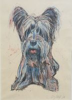 Fritz Hug Lithographie Hund