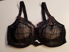BH Prima Donna 80 C