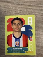 Panini Fifa NOR 19