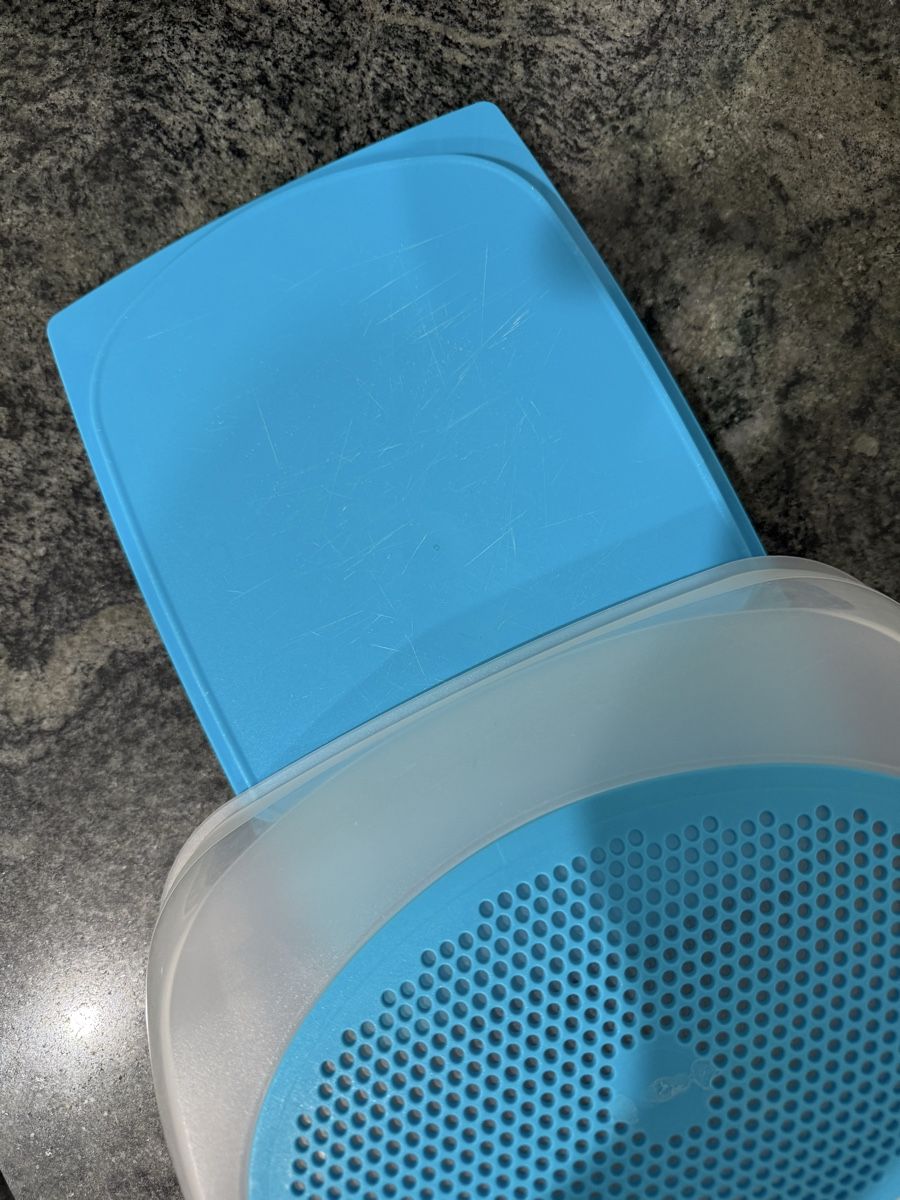 Tupperware Contenitori & Simili: Käseglocke – Usato da Burglauenen venduto da TheAngel 1