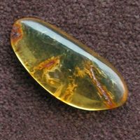 ♥ DOMINIKANISCHER BERNSTEIN CABOCHON ♥