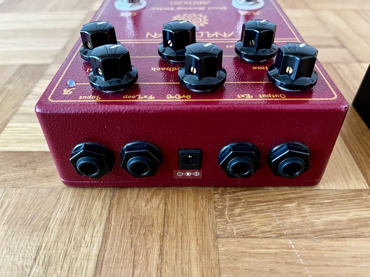 Strumenti musicali: Analogman Analog Man ARDX20 Delay mit AMAZE1 Controller – Usato da Glattfelden venduto da SML64 3