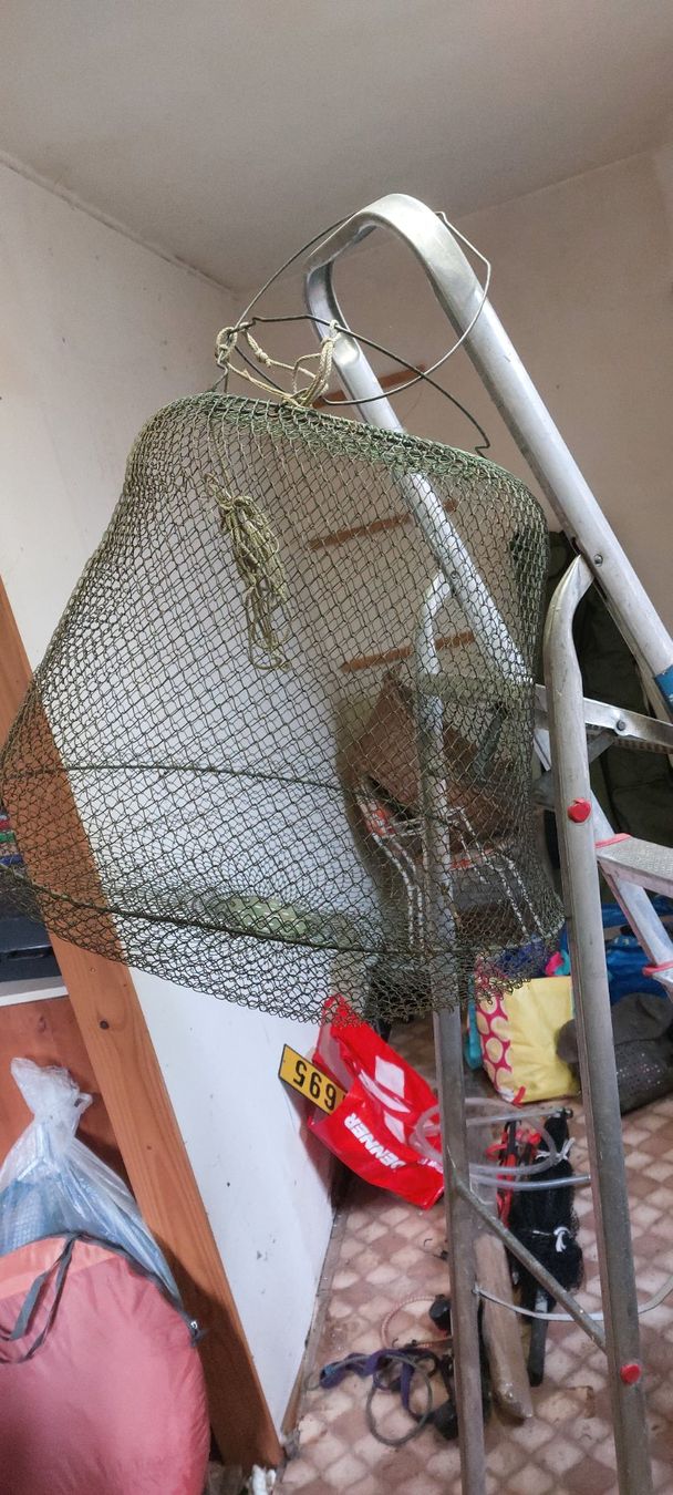 Angelruten: Setzkescher Robuste Fischreuse – Gebraucht aus Brislach von ericCH