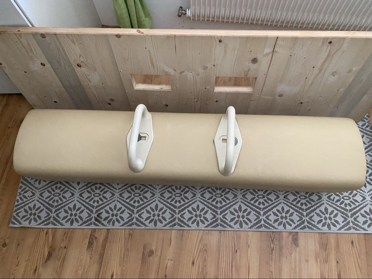 Hometrainer: Bodenpferd mit Pauschen Gebraucht  – Usato da Schiers venduto da Jasi-83