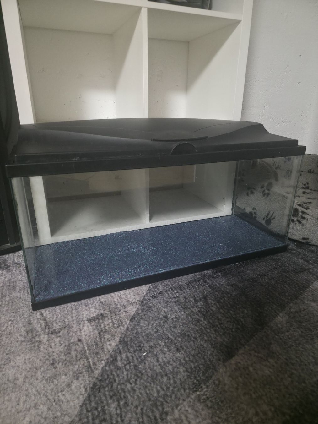 Aquarium: vendo acquario 70L – Gebraucht aus Faido von SX32
