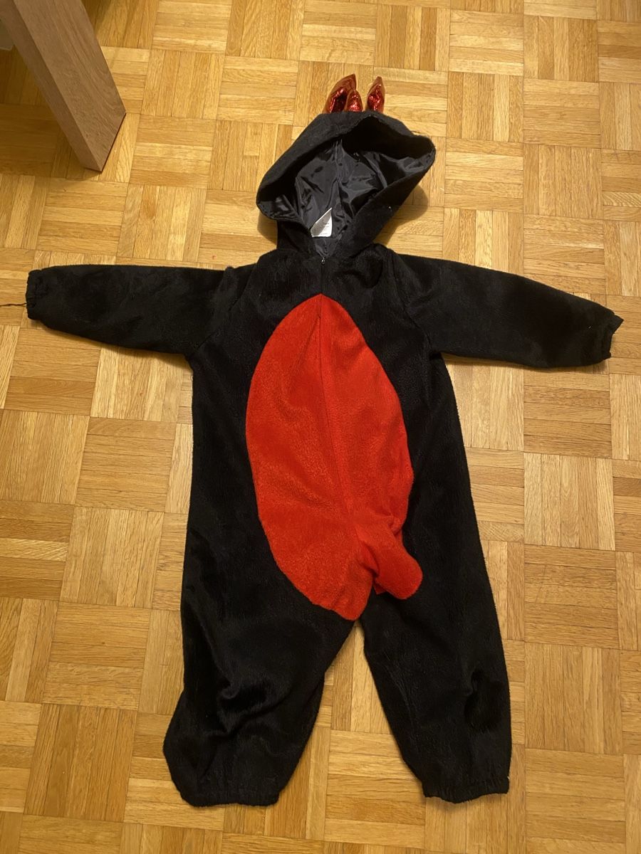 Kostüme: Dragon Costume (Halloween) – Gebraucht aus Zollikerberg von chu_t7jf