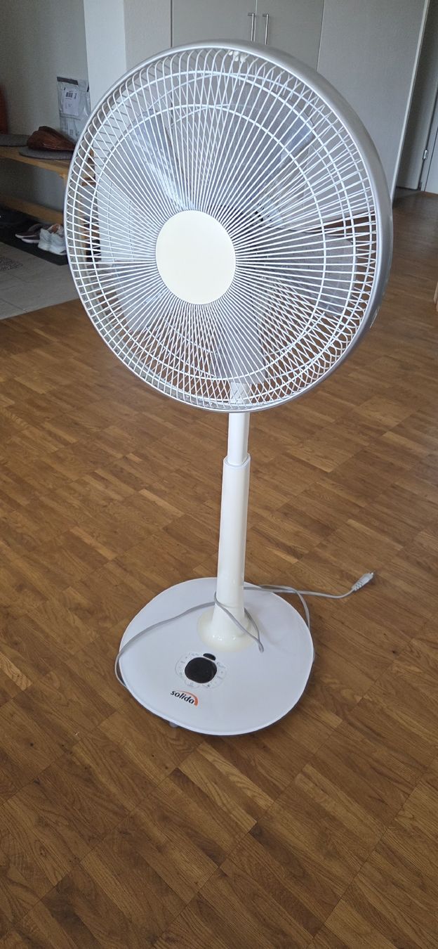 Ventilatori: Standventilator – Usato da Oetwil am See venduto da Aeschbi