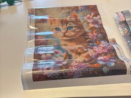 Diamond Paiting Katze 🐈
