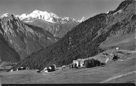 Riedel alp