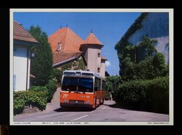 Laconnex Genève Bus TPG FBW R&J 91GS Nr.135 Foto Ausdruck A4