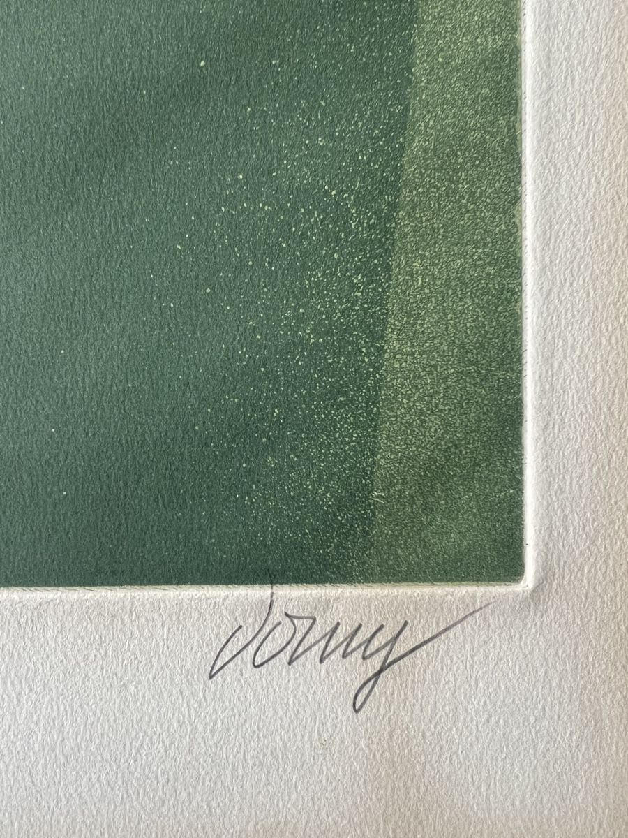 Grafica & Litografie: Bertrand Dorny, handsigniert, nummeriert – Usato da Rain venduto da Pic-Ass 2