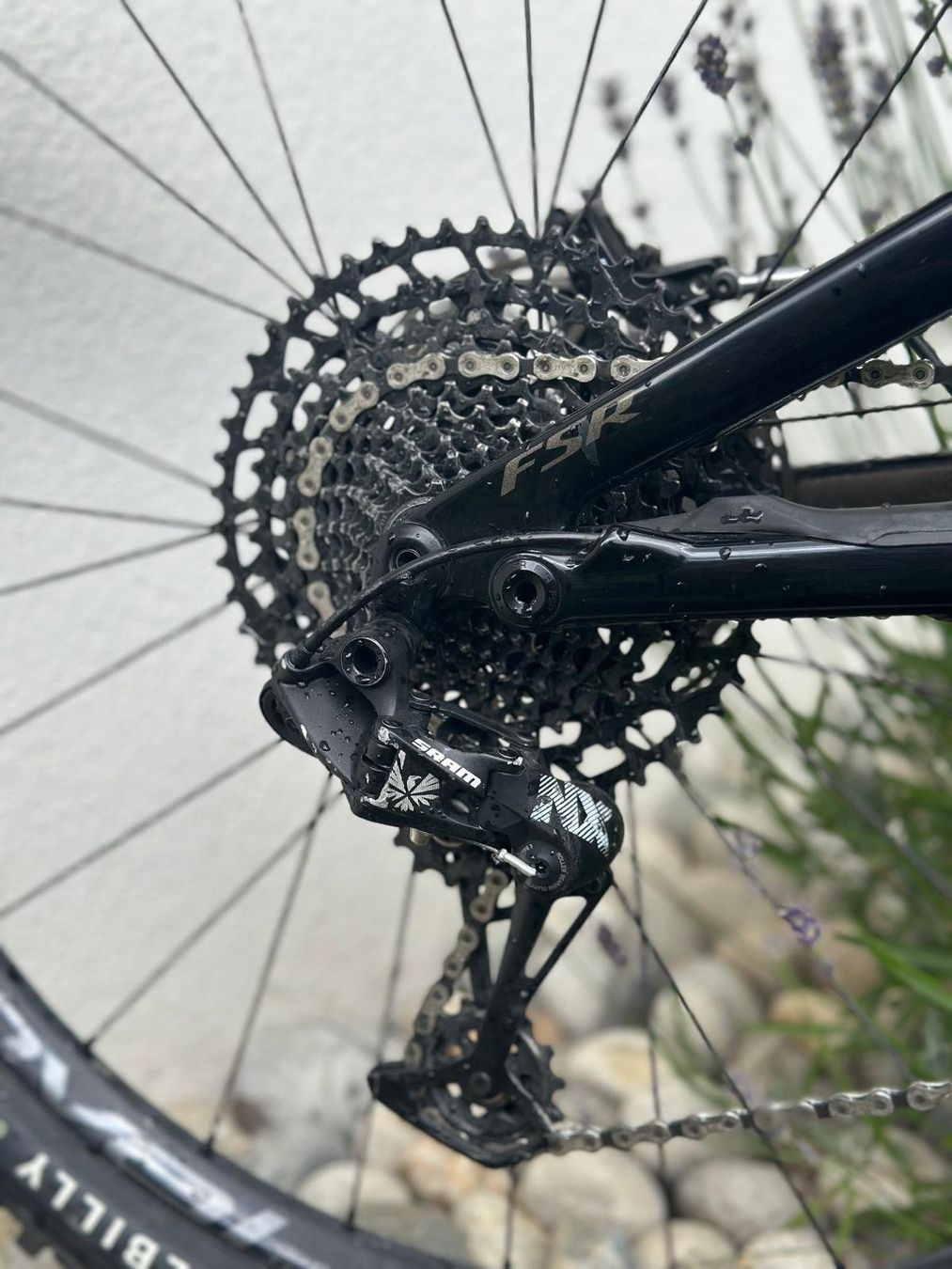 Specialized Biciclette: Spezialized Levo SL Comp Carbon – Usato da Fuldera venduto da mar_9r8h 2
