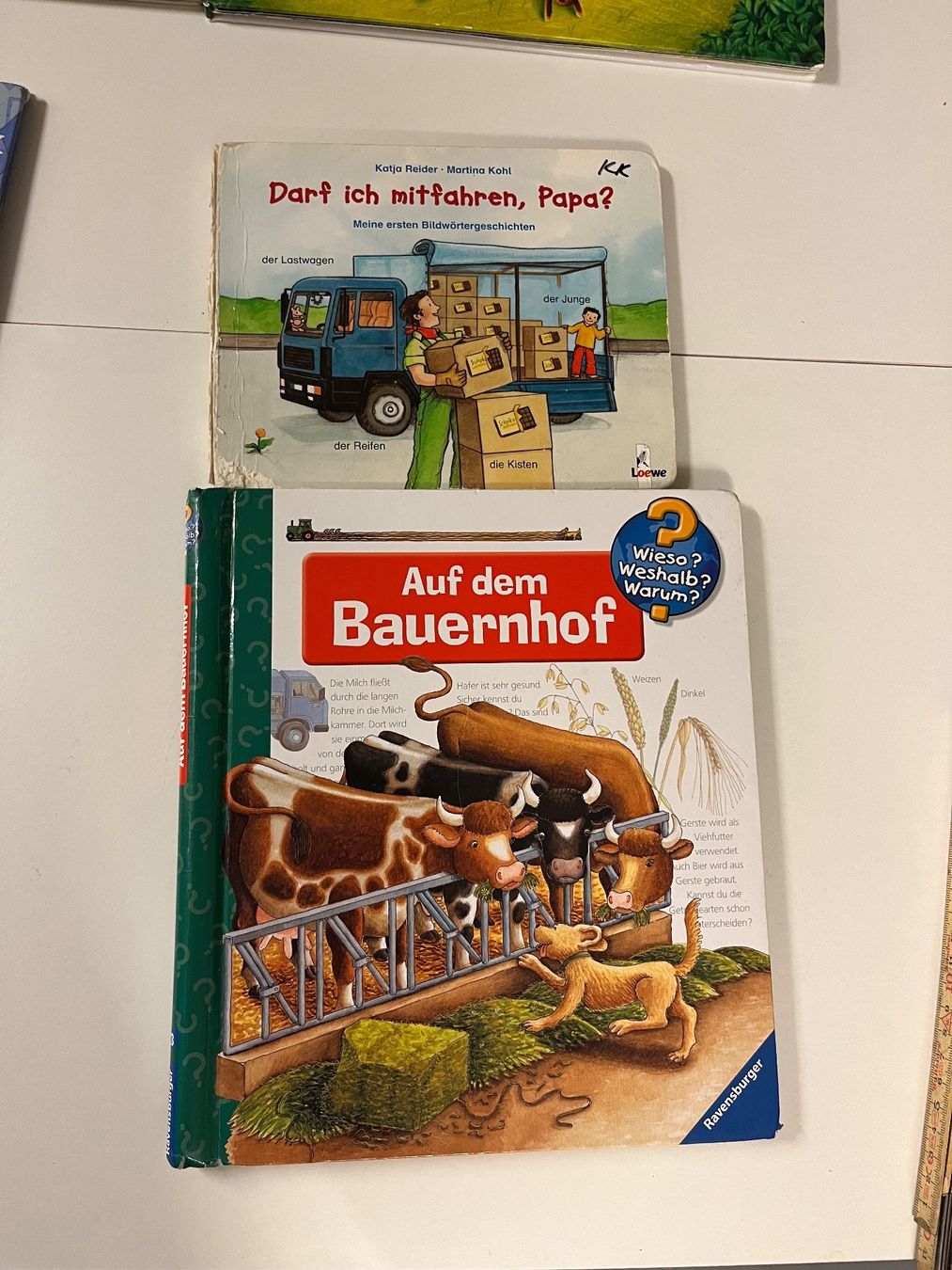 Libri: Kinder Bücher – Usato da Rüti ZH venduto da Walti0 4