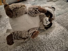 Plüschtier Waschbär