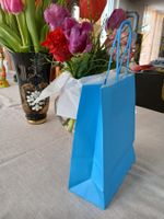 10 x Papier -Geschenk - Tasche (22cmHx18cmBx8cmT)