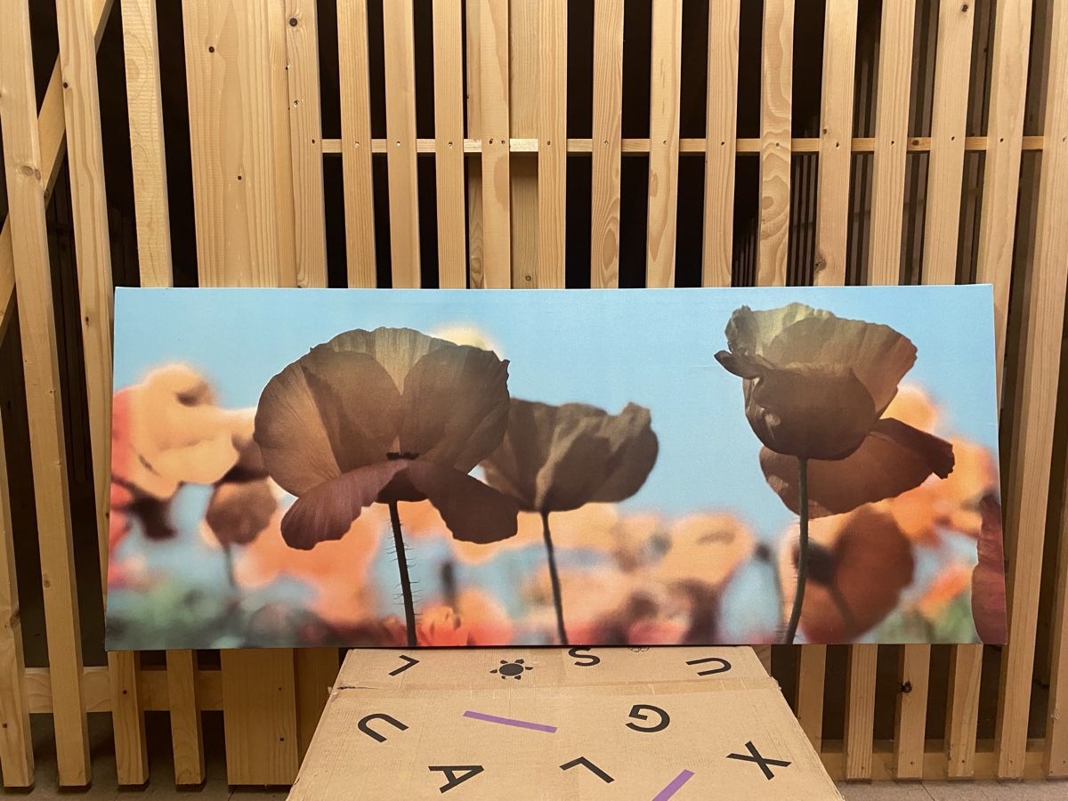 Foto & Immagini: IKEA Wandbild Mohnblumen auf Leinwand – Usato da Oberengstringen venduto da dilara.c