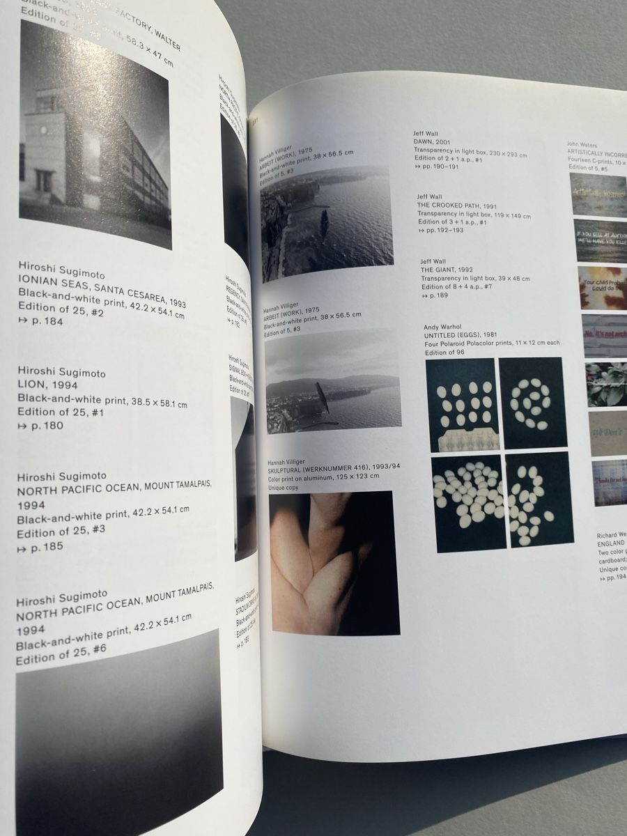 Libri: Through the Looking Brain, a Swiss Photography Collection – Usato da Zürich venduto da lesgarcons 5