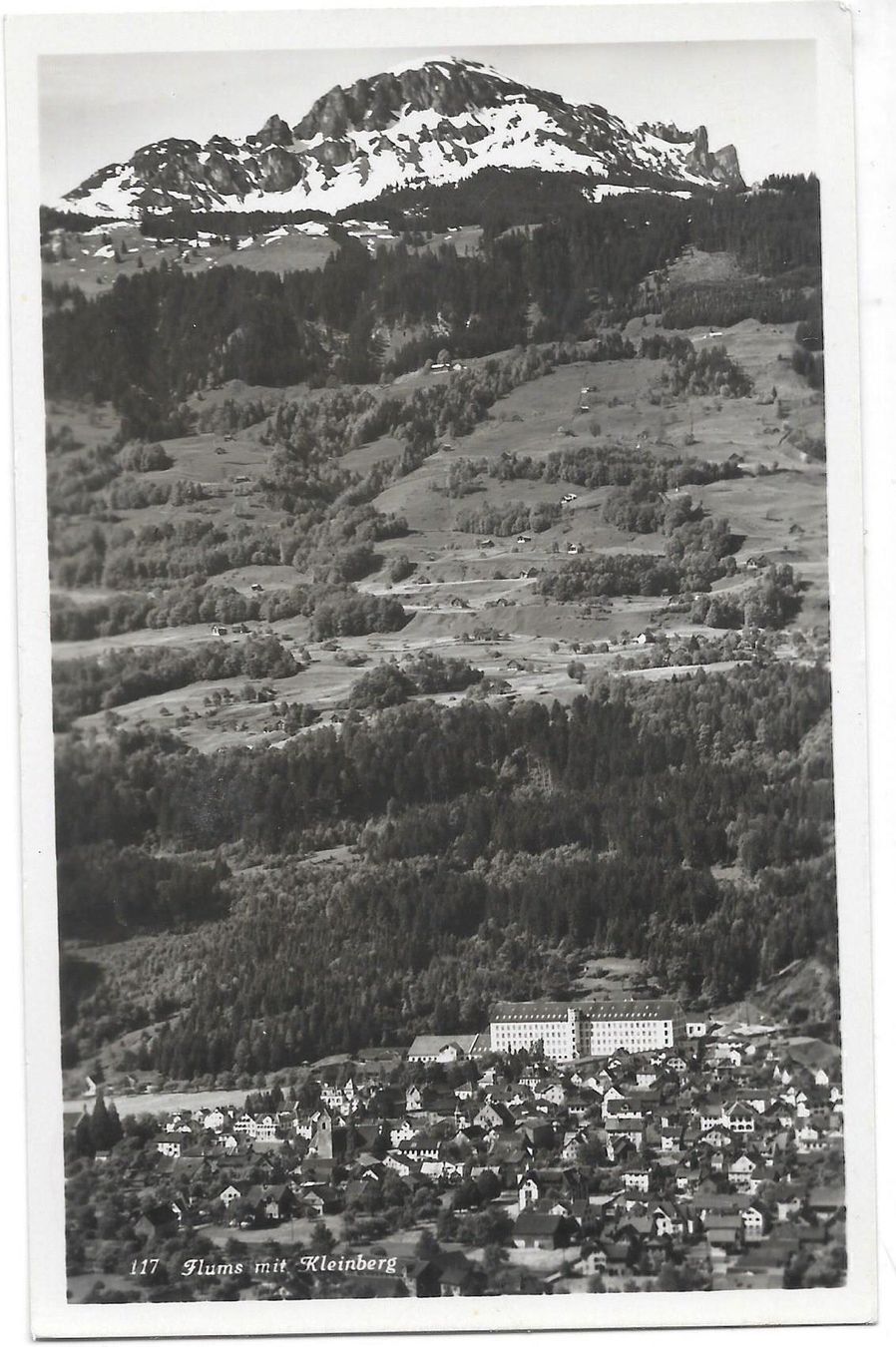 Cartoline postali: Flums Gesamtansicht mit Kleinberg – Usato da Olten venduto da clotaldi