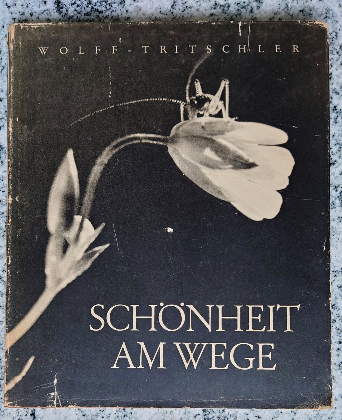 Libri: Agfacolor das farbige Lichtbild – Usato da Pfäffikon SZ venduto da truek 9