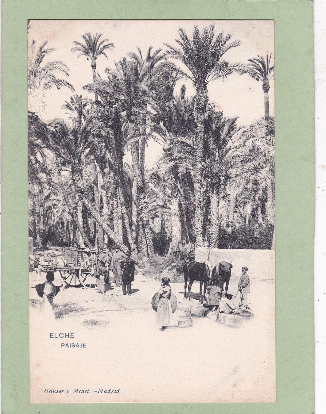 Cartoline postali: Spanien Elche Paisaje – Usato da Herisau venduto da Lisegrat2008