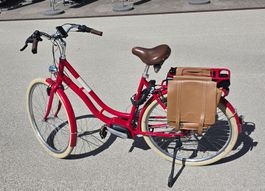Eine Augenweide: original ORTLER eBike! 55cm.