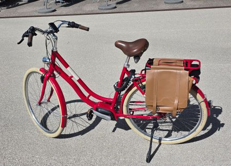 Eine Augenweide: original ORTLER eBike, 55cm.