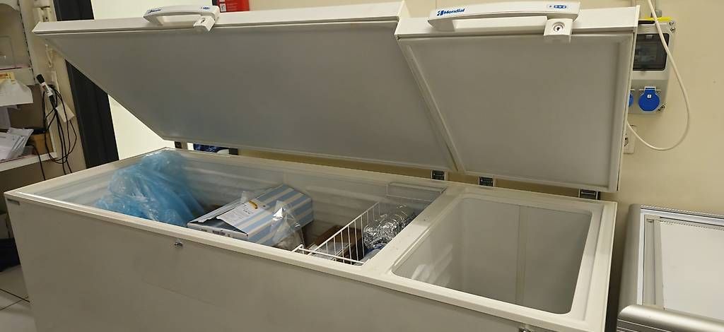 Congelatori: Gastronomie Kühltruhe – Usato da Kirchberg BE venduto da Mone22 1