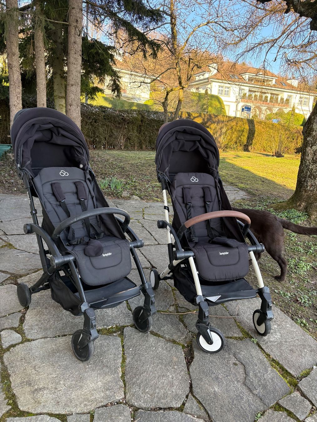 Carrozzine: Bumprider Connect Buggy – Usato da Zürich venduto da EliSieg 1