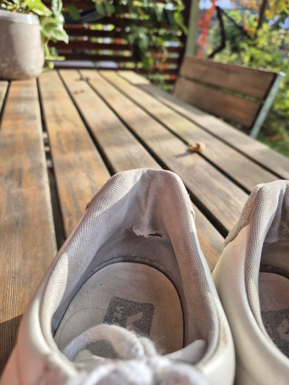 Veja Scarpe da donna: Veja Sneaker Vegan Gr. 42 – Usato da Winterthur venduto da nel_6svj 3