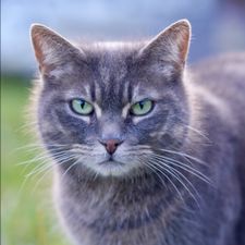 Profile image of ericc77