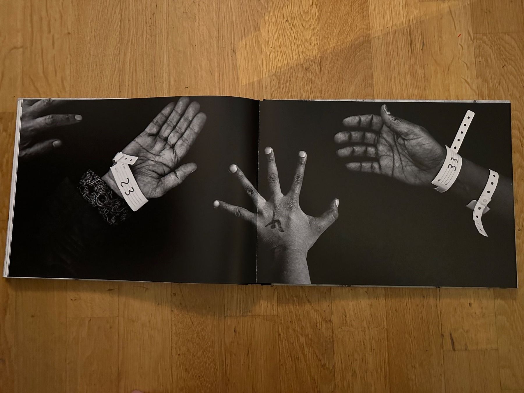 Libri: Fabio Bucciarelli: The Dream – Usato da Zürich venduto da allp 6