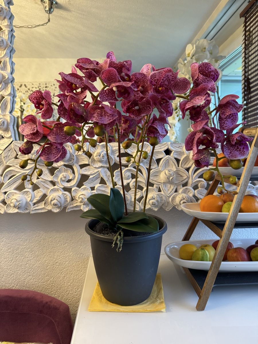 Tutte le decorazioni: Künstliche Orchideen lilac New – Nuovo (secondo la descrizione) da Zürich venduto da Privat4444 6