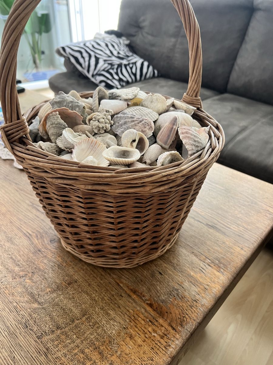 Toutes les décorations: Korb mit Muscheln  – D'occasion à Kirchleerau par 58.iirem