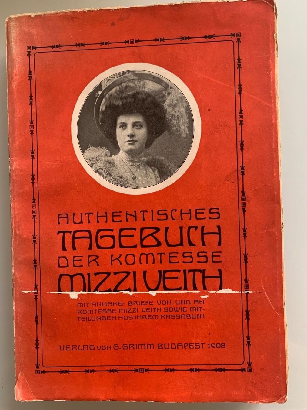 Bücher: Authentisches Tagebuch der Komtesse Mizzi Veith – Gebraucht aus Basel von SusaSandig