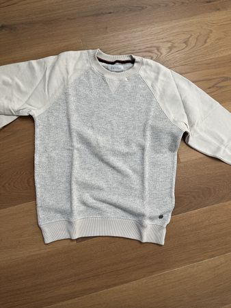 Herren Pullover Esprit 