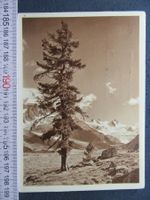 ROSEGTAL GR AK 1951 BLAUKREUZJUGENDWERK