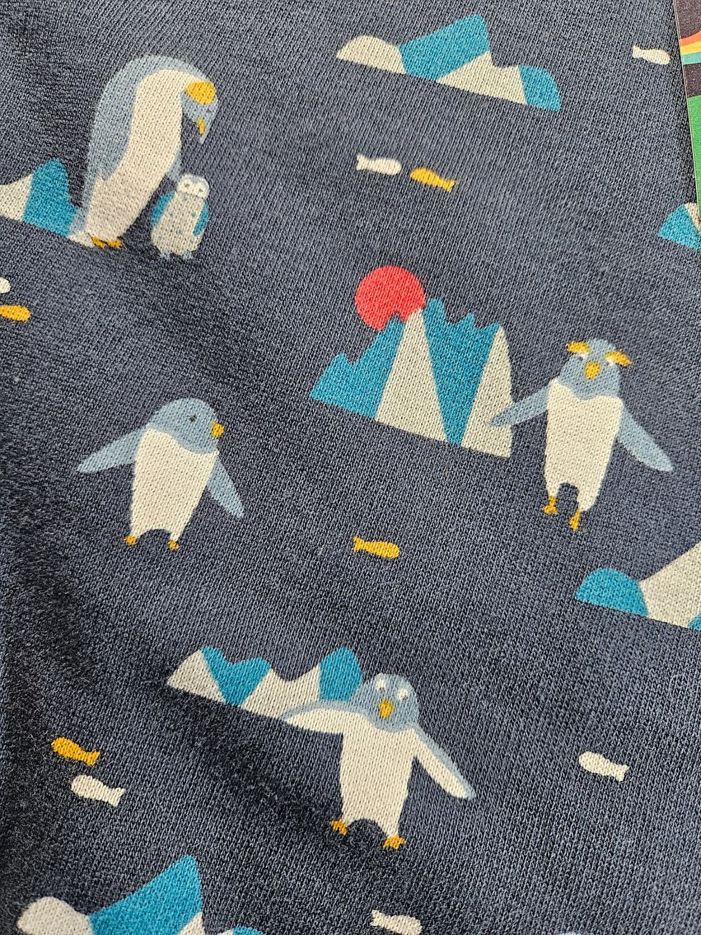 Frugi Maglioni & Felpe: NEU Frugi Pulli 128/134 Pinguine – Usato da Rifferswil venduto da fle_5nqr 2
