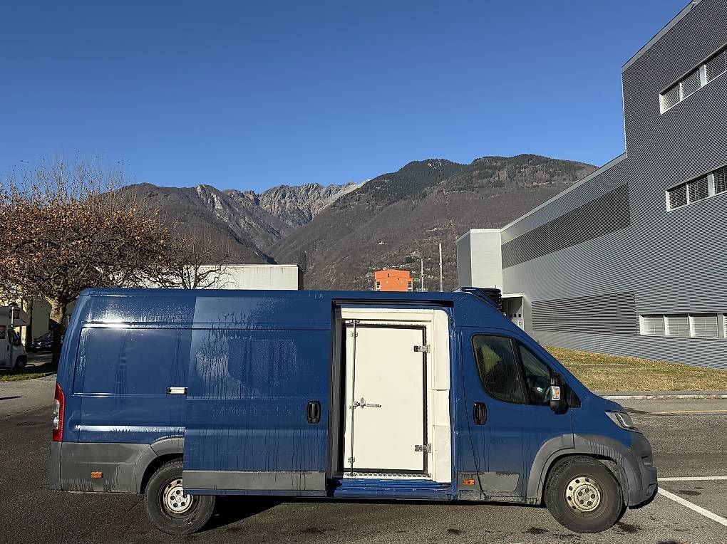 Véhicules utilitaires: Frigorifero Autofurgone  – D'occasion à Giubiasco par aut_zxs6 1