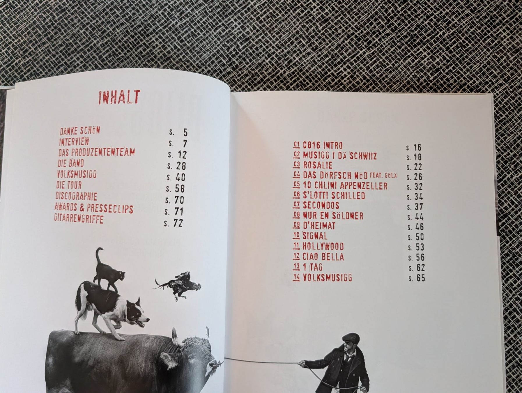 Libri: Bligg Das Songbuch 0816 mit CD – Usato da Nänikon venduto da Haexli_70 2