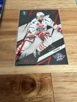 Sportzoo Playoffs 25/26 Rapperswil-Jona red Rask 09/30