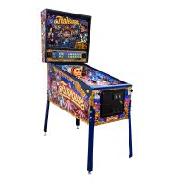 Fun House CE Flipper