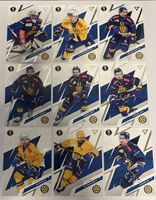 Sportzoo Playoffs 26 Base HCD komplett
