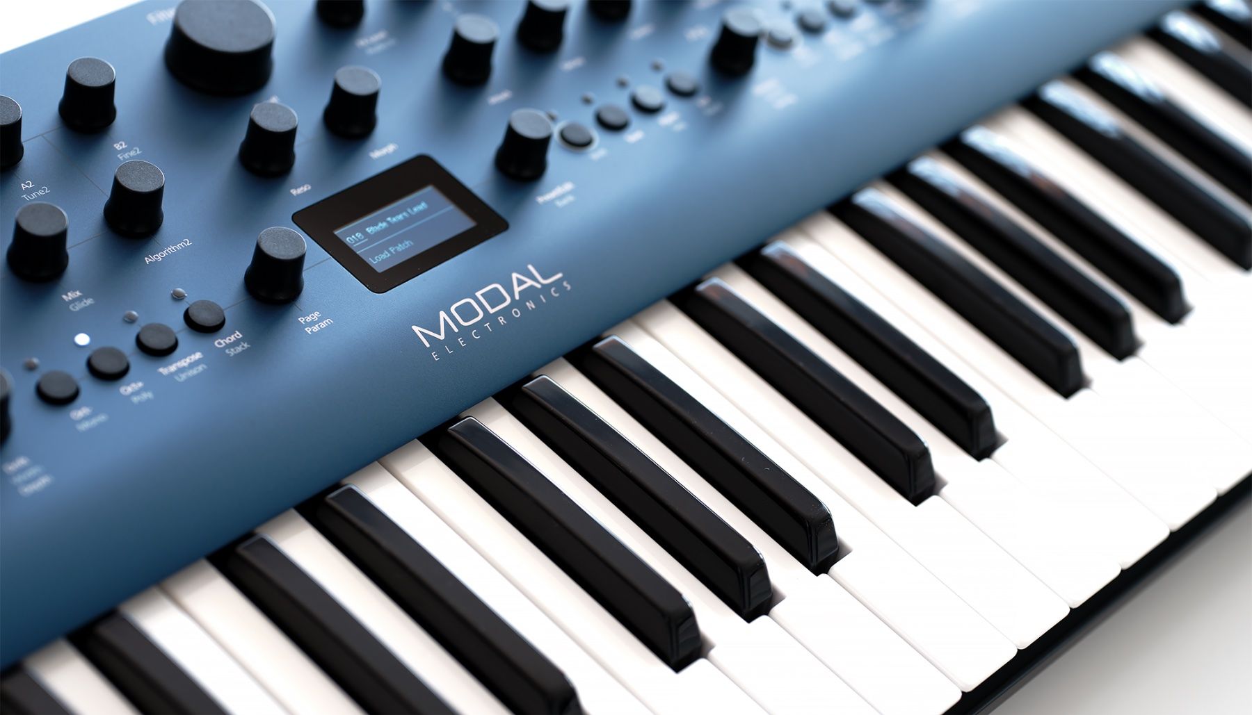 Modal Electronics Musikinstrumente: Modal Electronics - Cobalt 8 – Gebraucht aus Fahrwangen von petermmahr 1