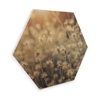 Hexagon Holz Mexican Daisy 55x47cm (neu, UVP 74.90 Fr.)