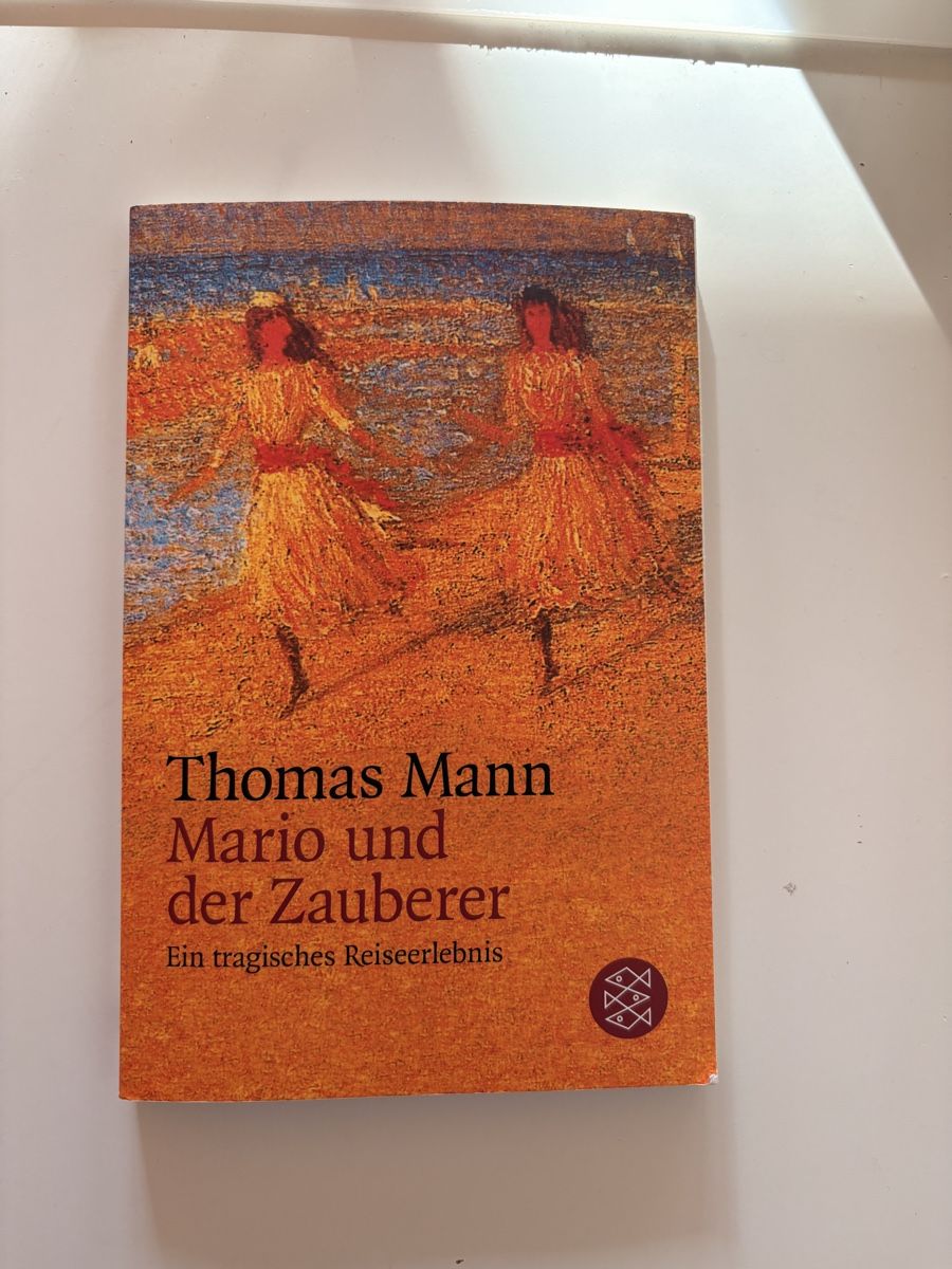 Libri: Thomas Mann Mario und der Zauberer Taschenbuch – Usato da Mümliswil venduto da hes_mhn8