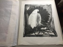 Litho Helen Keller