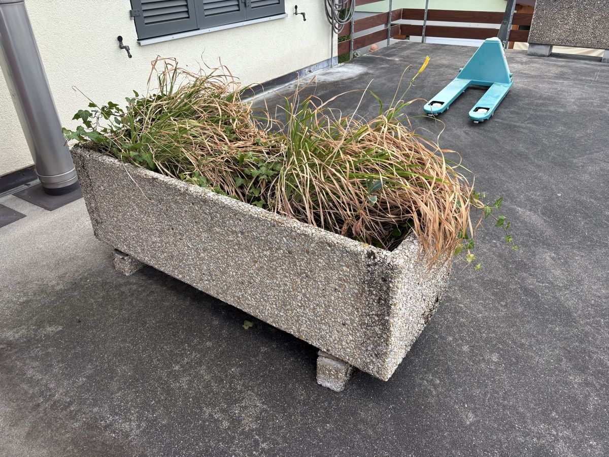 Pots de fleurs: Beton Blumentopf  – D'occasion à Pfaffnau par 81a_2qs8 1